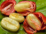 Colombian La Cabana Natural Fermented Micro-lot Arabica Whole Coffee Bean Fruity Taste