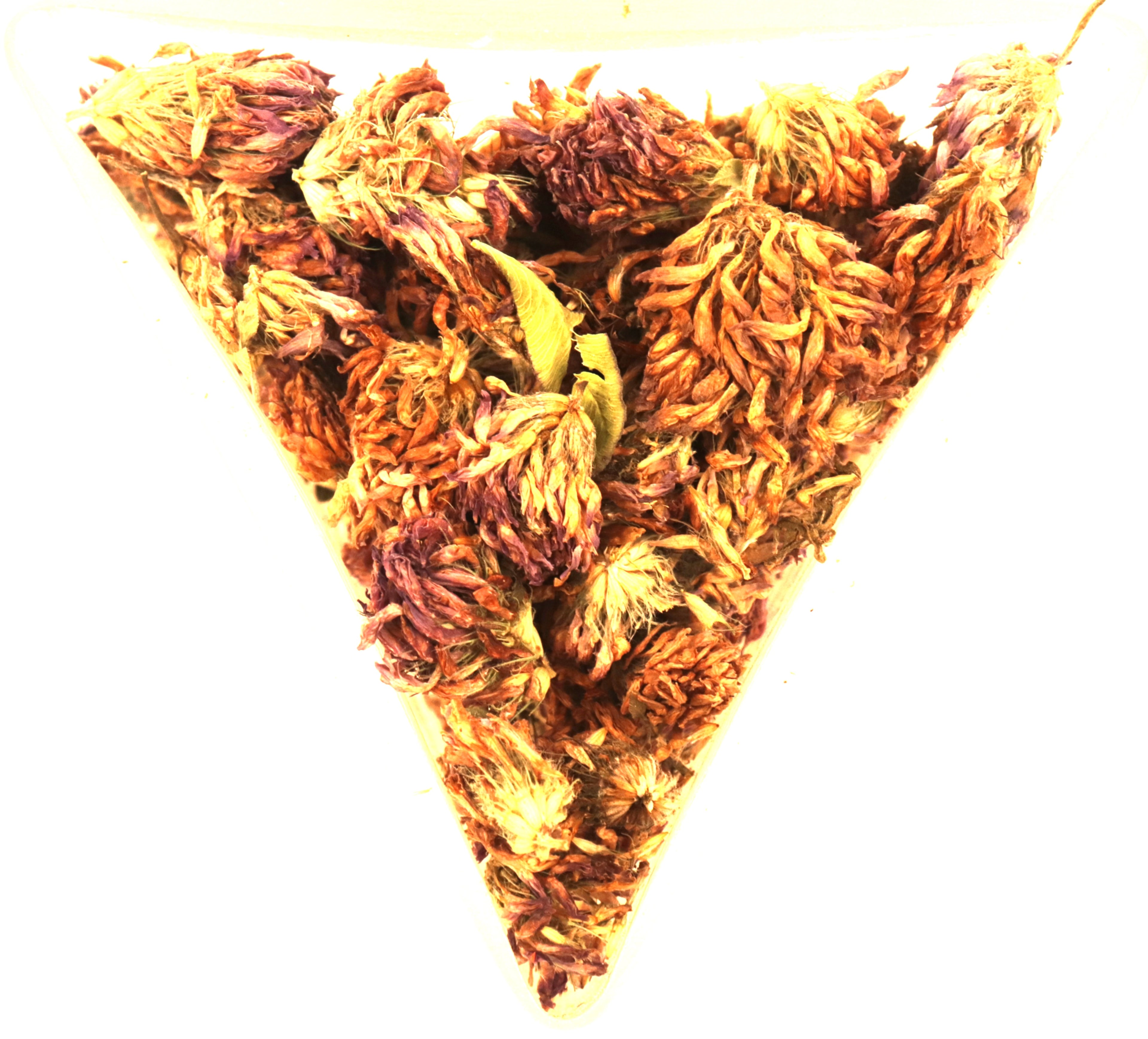 Red Clover Flower Tea Natural Menopause Osteoporosis Blood Thinner Whole Flowers