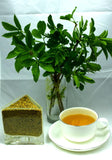 Elderflower Herbal Tea - Especially Good For Colds & Flu - Antibacterial - Healthy Living In A Cup - Gently Stirred