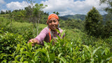 Laos Somneuk Black Curly Tea Hand Rolled Loose Leaf Natural Black Tea