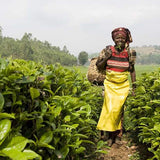 Rwanda Rukeri Plantation Broken Pekoe 1 Fair Trade African Loose Leaf Black Tea