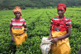 Rwanda Rukeri Plantation Broken Pekoe 1 Fair Trade African Loose Leaf Black Tea