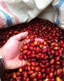 Sumatran Wahana Estate Pacamara Arabica Whole Coffee Beans Dark Strong Roast