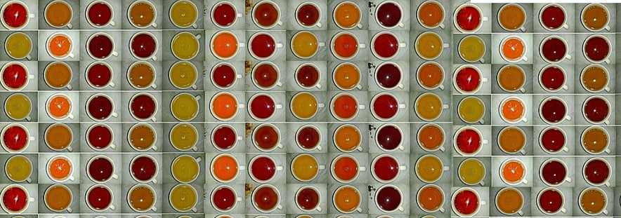 Montage of overhead view of different teas in cups