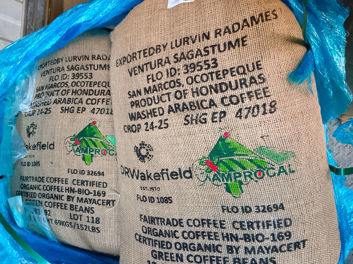 Ashwagandha Calm Focus Medium Dark Roast Honduras Amprocal SHG Washed Coffee Beans