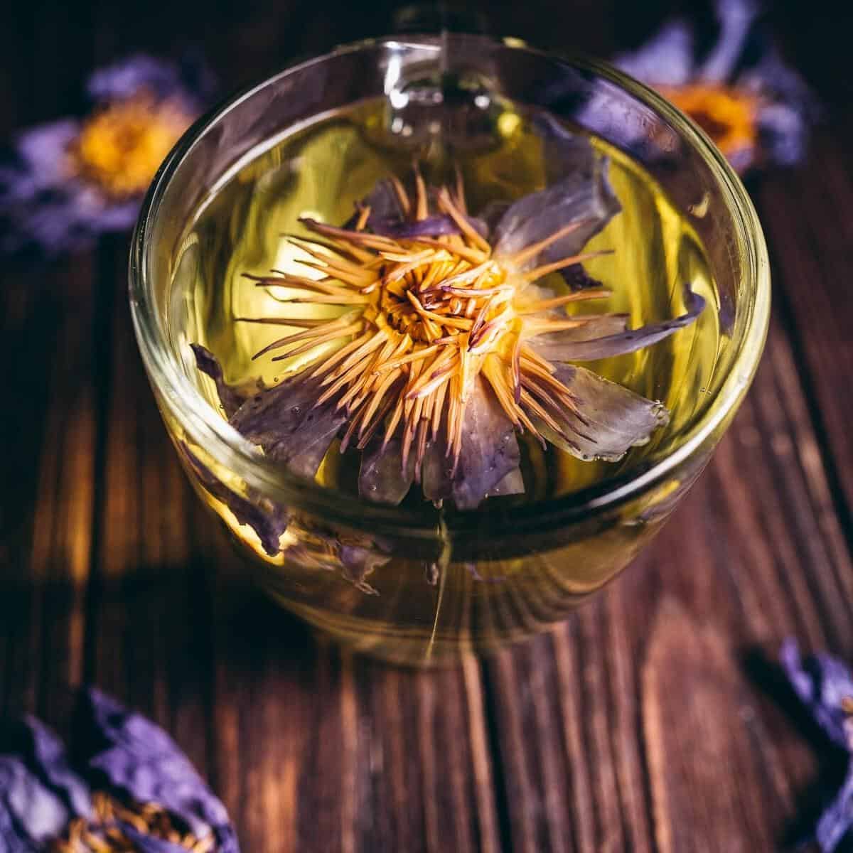 Blue Lotus Flower Tea Eye of Horus Improve Sleep Reduce Anxiety Whole Flowers