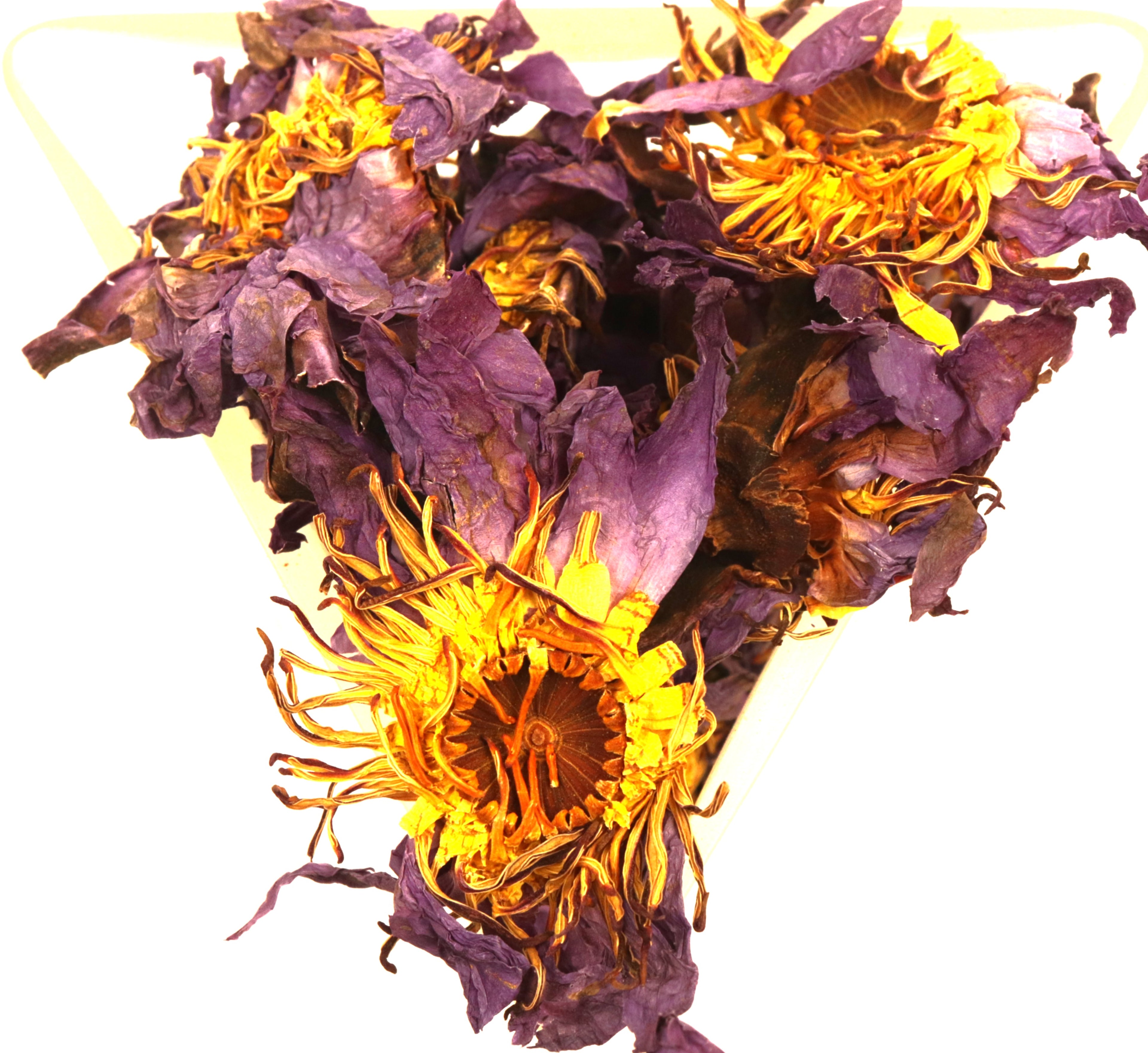 Blue Lotus Flower Tea Eye of Horus Improve Sleep Reduce Anxiety Whole Flowers