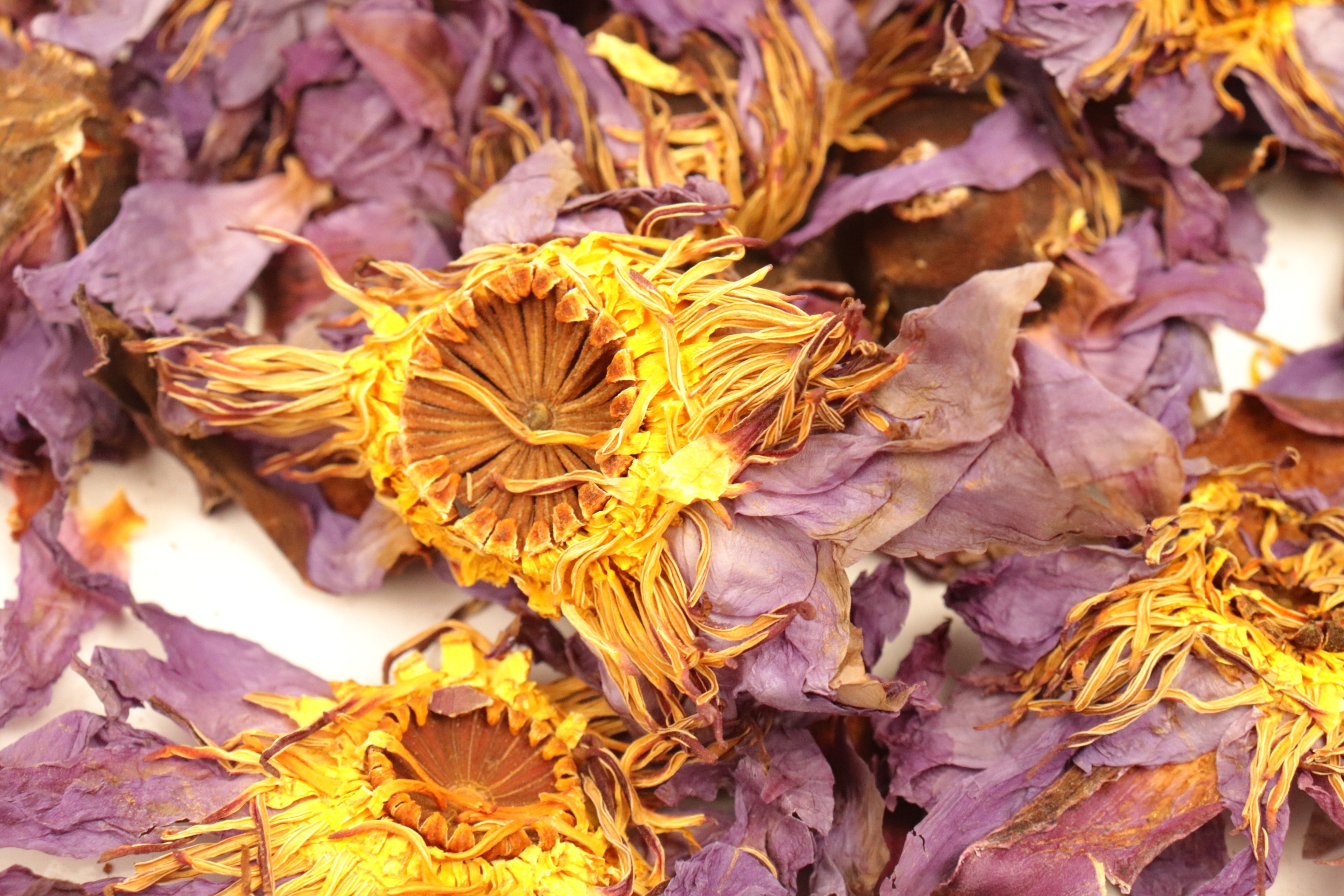 Blue Lotus Flower Tea Eye of Horus Improve Sleep Reduce Anxiety Whole Flowers