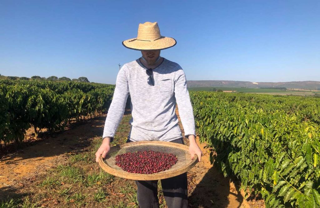 Brazilian Cerrado Swiss Water Decaffeinated Whole Coffee Bean Rainforest Great Taste
