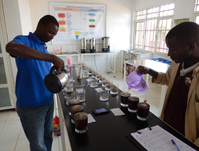 Burundi Umuco W'ikawa Fair Trade Hand Sorted Cherries Whole Coffee Beans