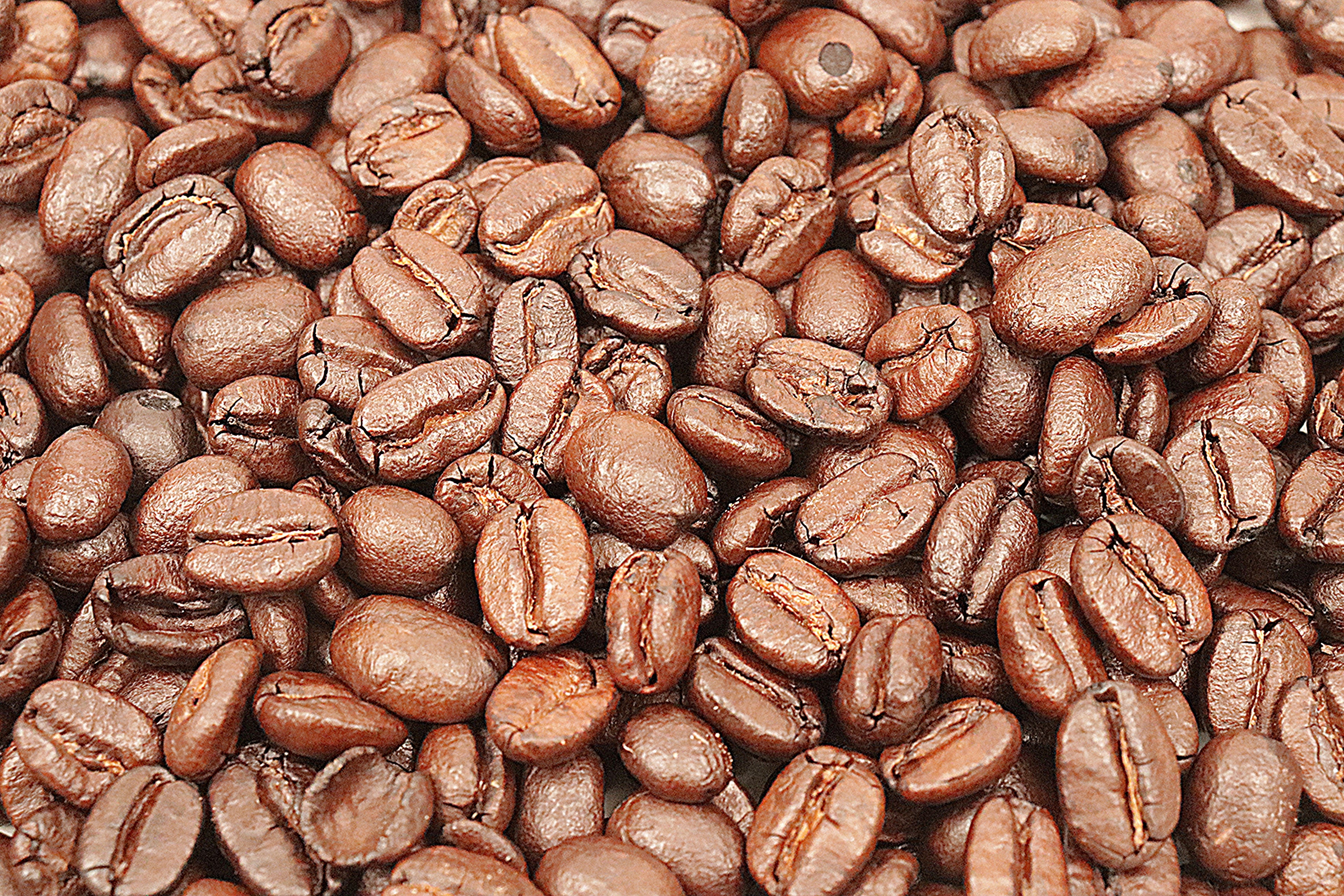 DR Congo Kivu 4 Washed Coffee Beans Dark Roast Inexpensive Good Flavour