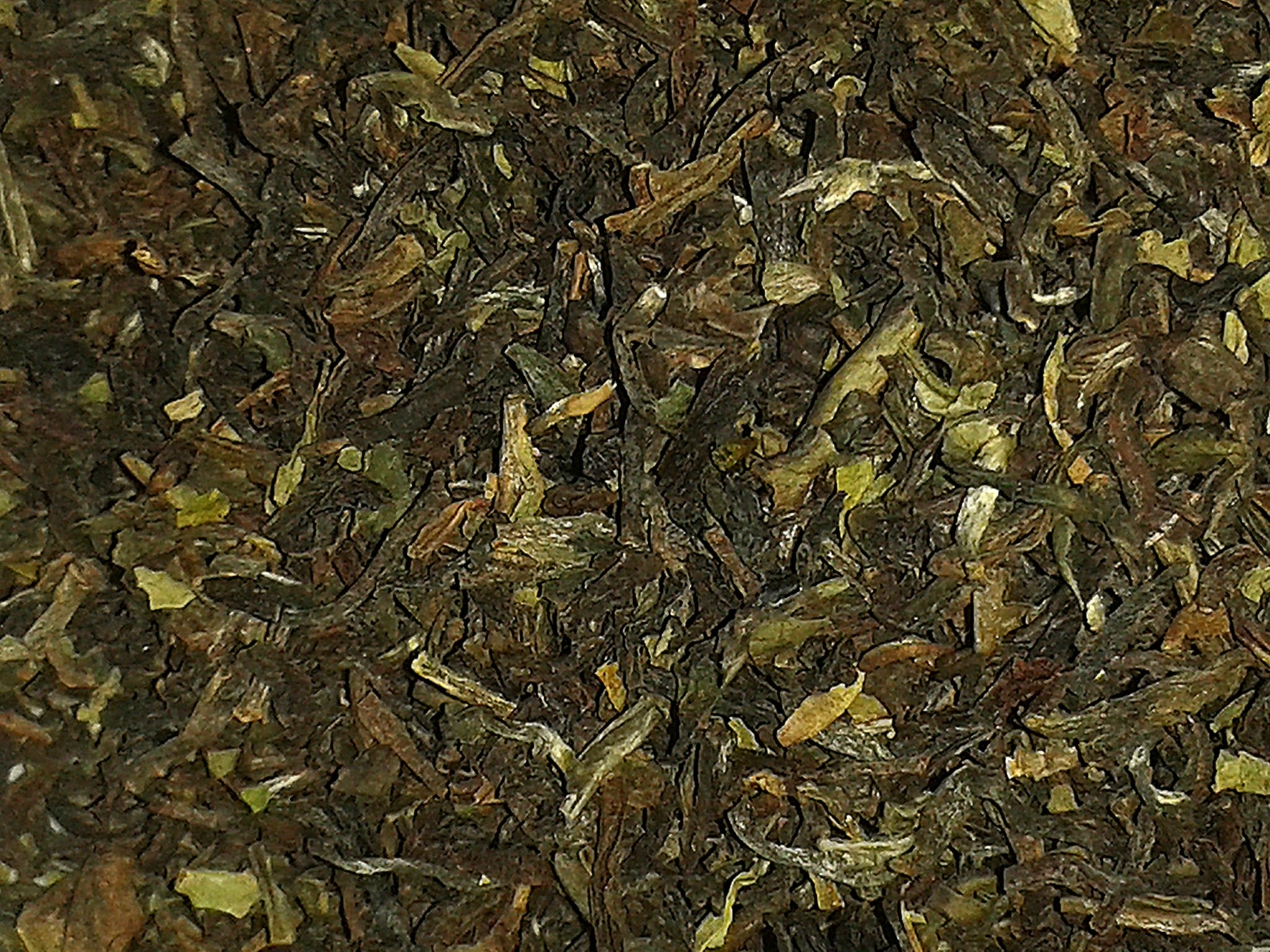 Darjeeling Margaret's Hope 1st Flush FTGFOP Grade 1 Champagne Muscatel