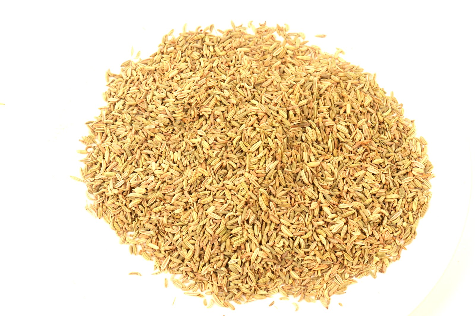 Fennel Seed Tea Herbal Infusion Weight Loss Digestive Issues Bloating Wellbeing IBS