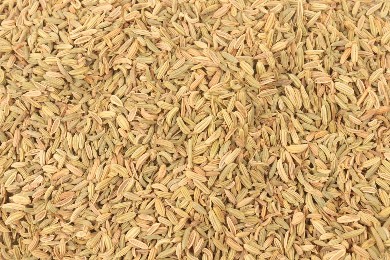Fennel Seed Tea Herbal Infusion Weight Loss Digestive Issues Bloating Wellbeing IBS