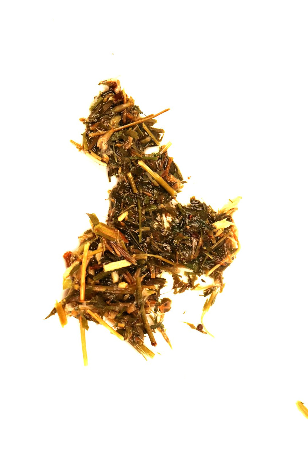 Feverfew Herbal Tea Or Tisane Very Healthy Drink Helps Migraine Depression Vertigo
