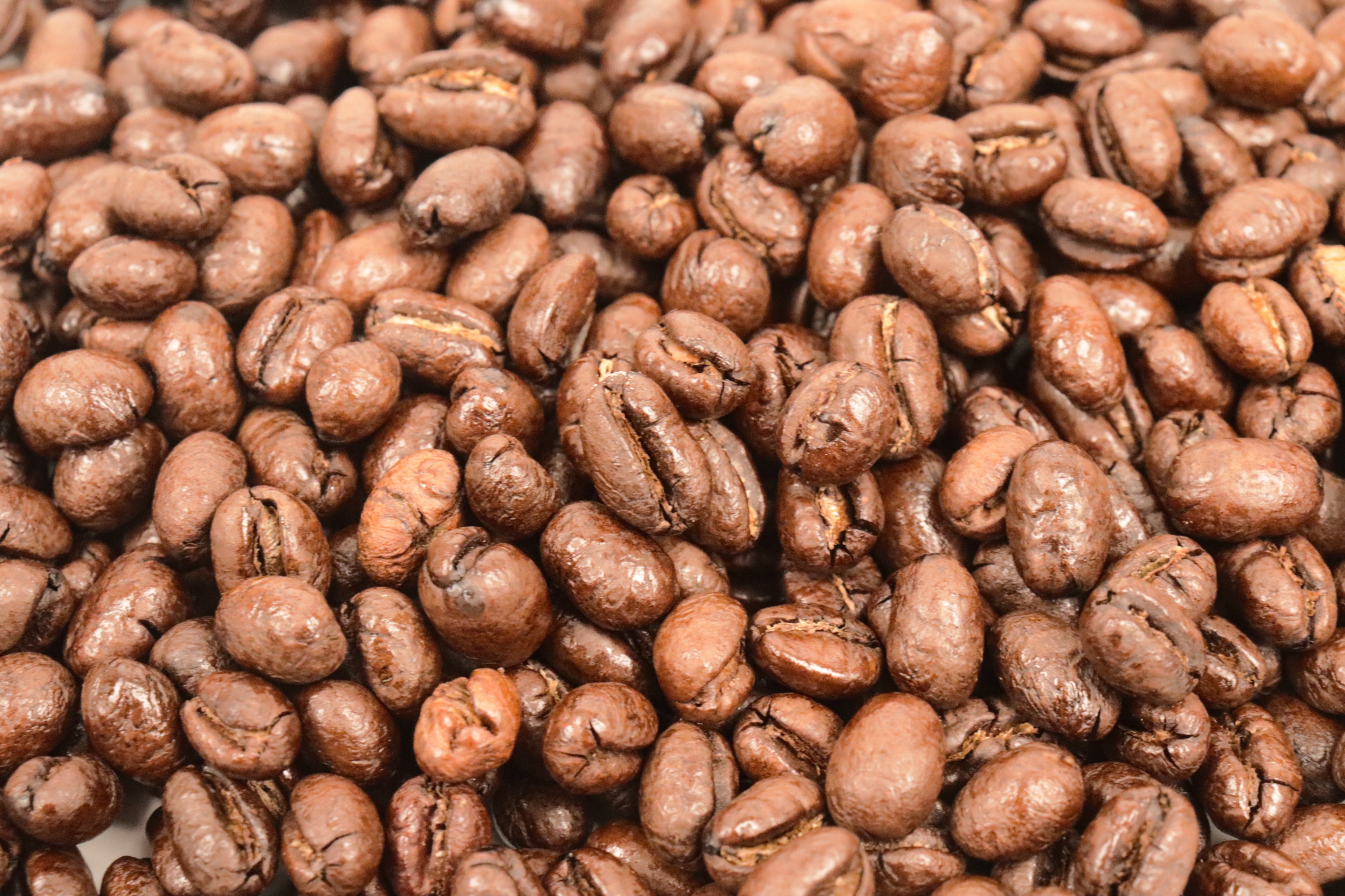 Jamaican Blue Mountain Sir John's Peak Estate Peaberry Whole Coffee Beans Geisha Superb Quality