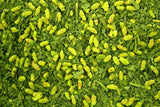 Japanese Matcha Genmai Cha Wazuka-Cho Kyoto Prefecture Green Tea Highest Quality