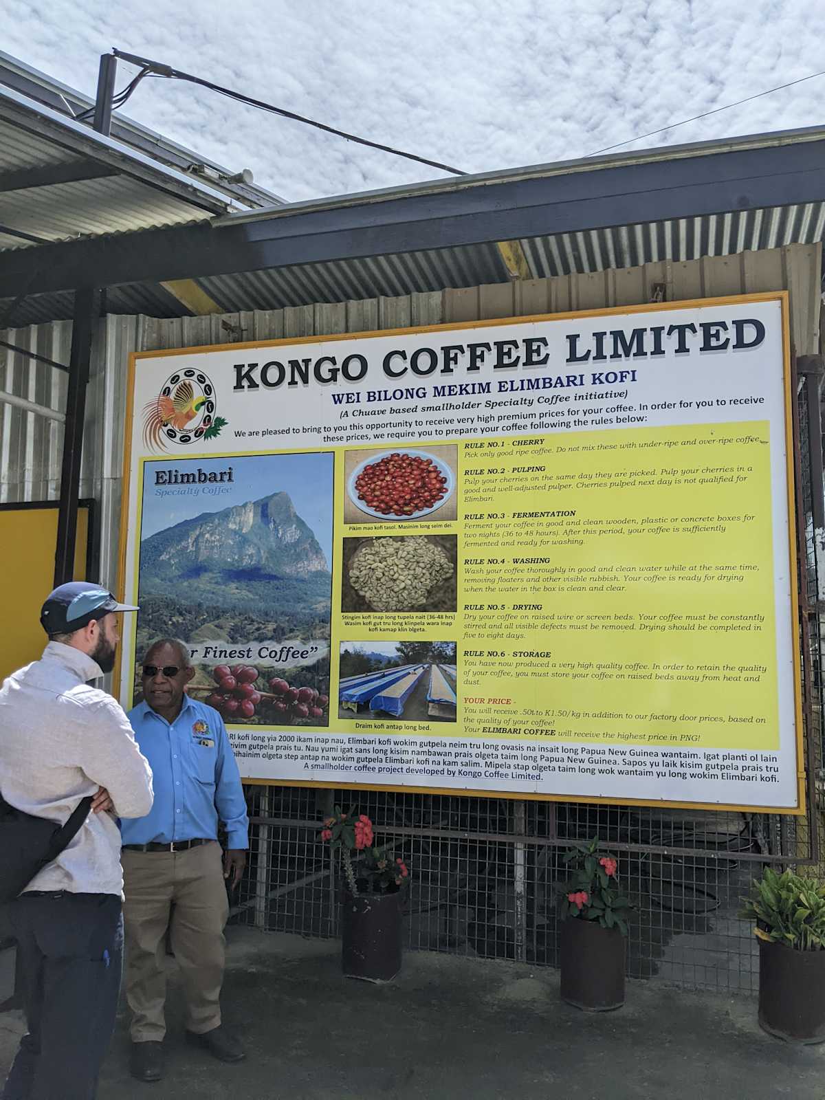 Papua New Guinea Kongo B Grade Whole Coffee Beans Excellent Medium Roast Coffee