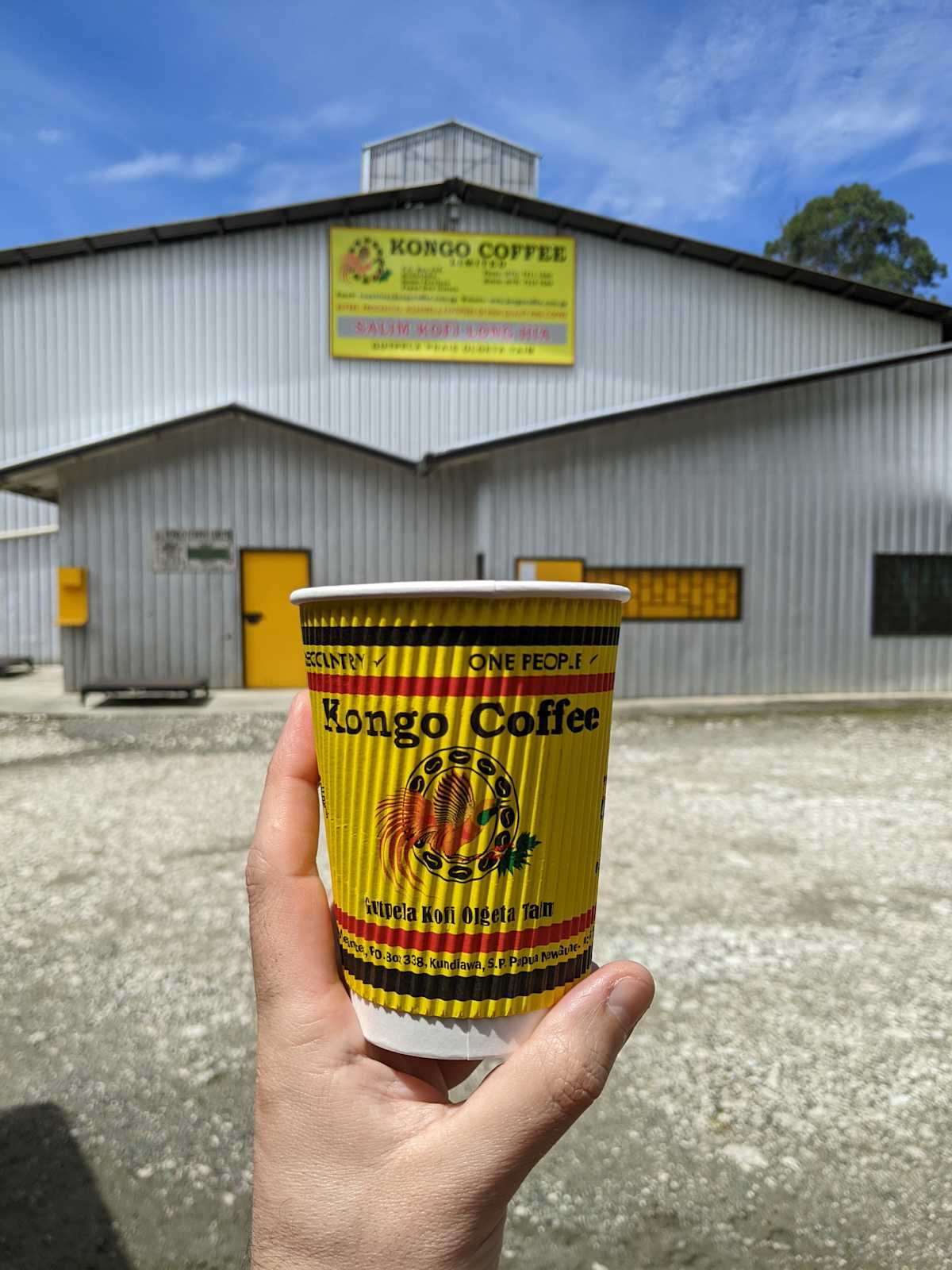 Papua New Guinea Kongo B Grade Whole Coffee Beans Excellent Medium Roast Coffee