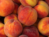 Pai Mu Tan Elderflower Peach Natural Tea Healthy Refreshing Infusion