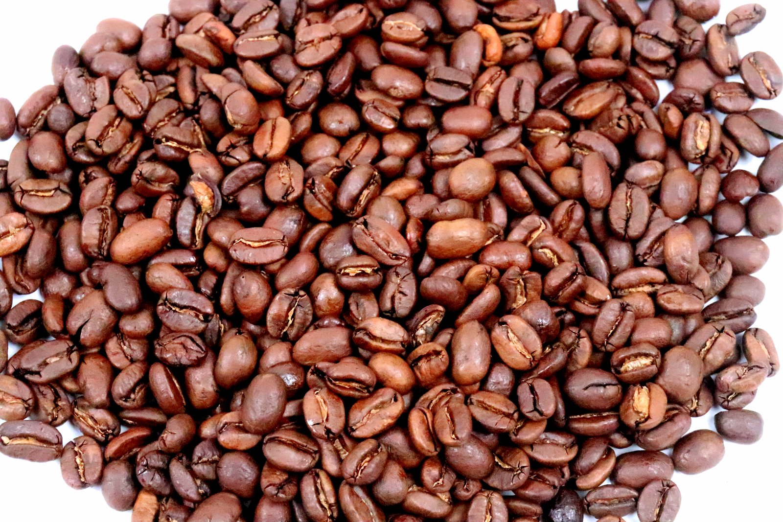 West Blue Java Whole Coffee Beans A Much Sought After Rare Indonesian Coffee