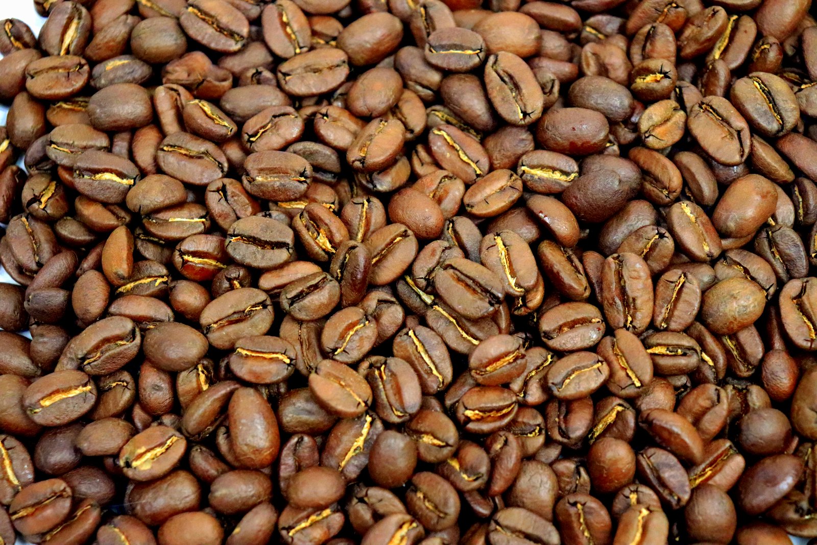 Bolivian Cafe de La Frontera Fair Trade Whole Coffee Beans Medium Roasted Coffee