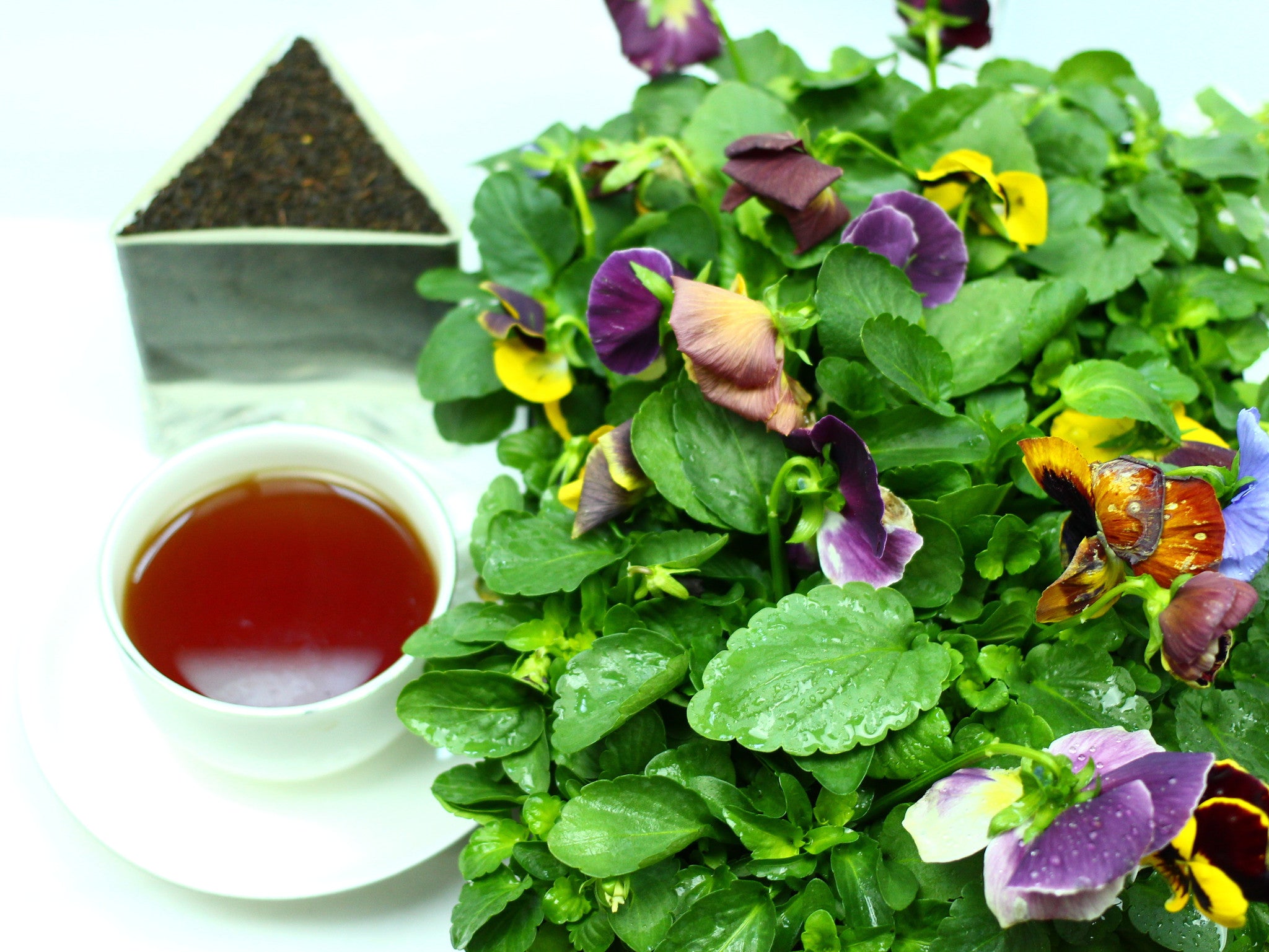 Ceylon Aislaby Uva District BOP Traditional Tea