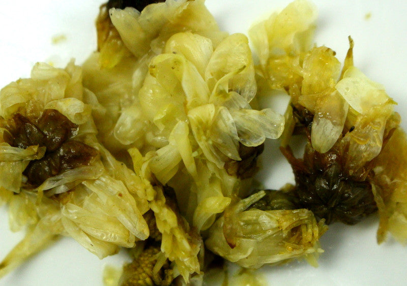 Chrysanthemum Flower Tea - Chinese Traditional Health Drink - Great For Colds And Flu - Gently Stirred