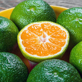 Citrus Grey Special Loose Leaf Black Tea Lime Blood Orange Green Mandarin