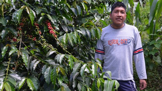 Colombian Excelso Selecto Jose Noscue Project 1-2-1 Fair Trade Whole Coffee Bean