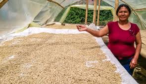Colombian Excelso Selecto Jose Noscue Project 1-2-1 Fair Trade Whole Coffee Bean