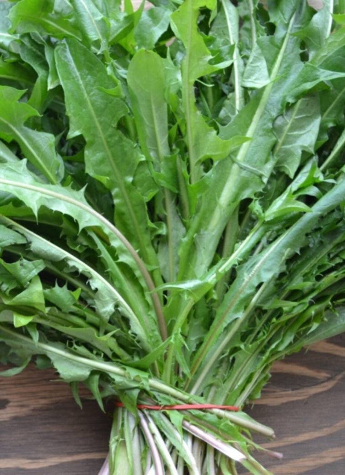Dandelion Leaf Tea Naturally Grown Loose Leaf Healthy Bones Metabolism Helpful in Type 2 Diabetes