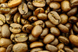 Dominican Republic Barahona Organic Medium Roasted Whole Coffee Beans - Gently Stirred