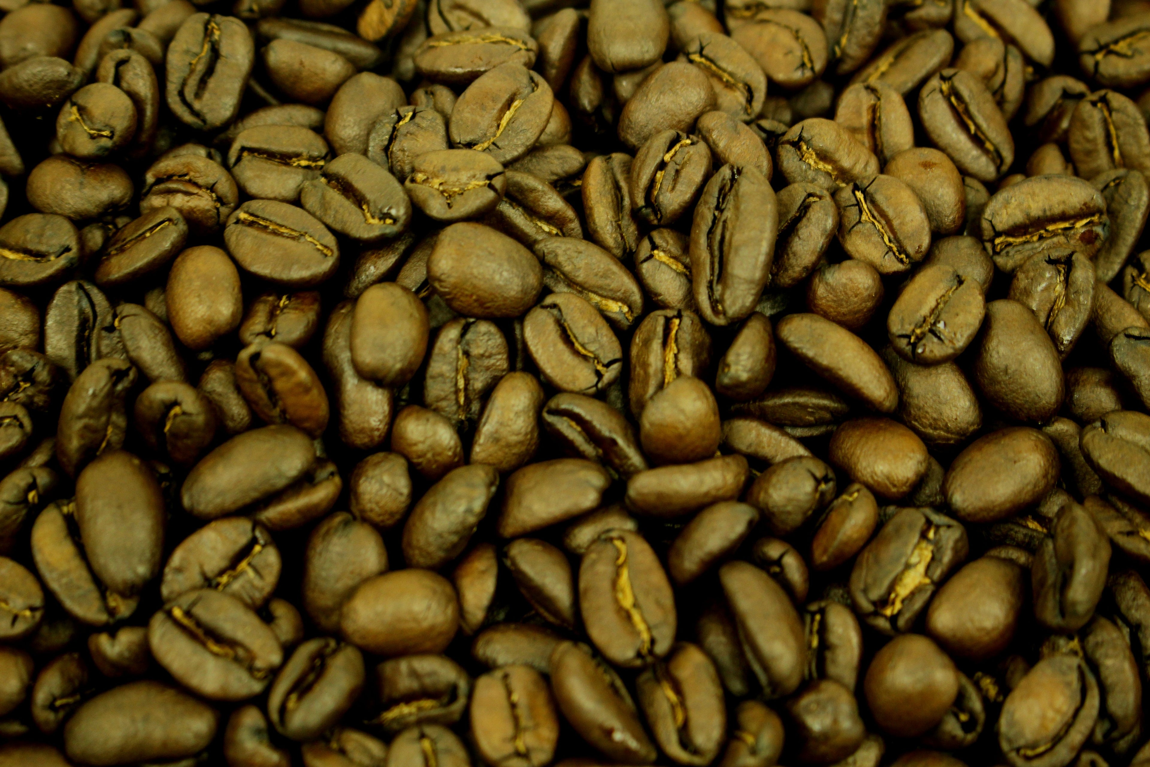 El Salvador Jasal Caturra Red Honey Coffee Whole Beans Gently Stirred