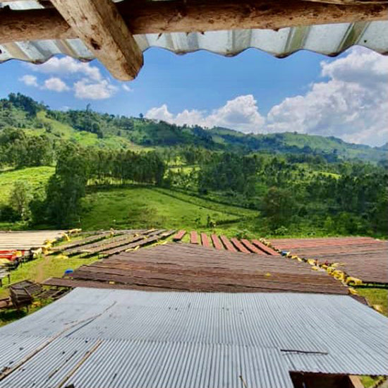 Ethiopian Sidamo Sweet Berry Pure Water Project Whole Coffee Beans Good Depth