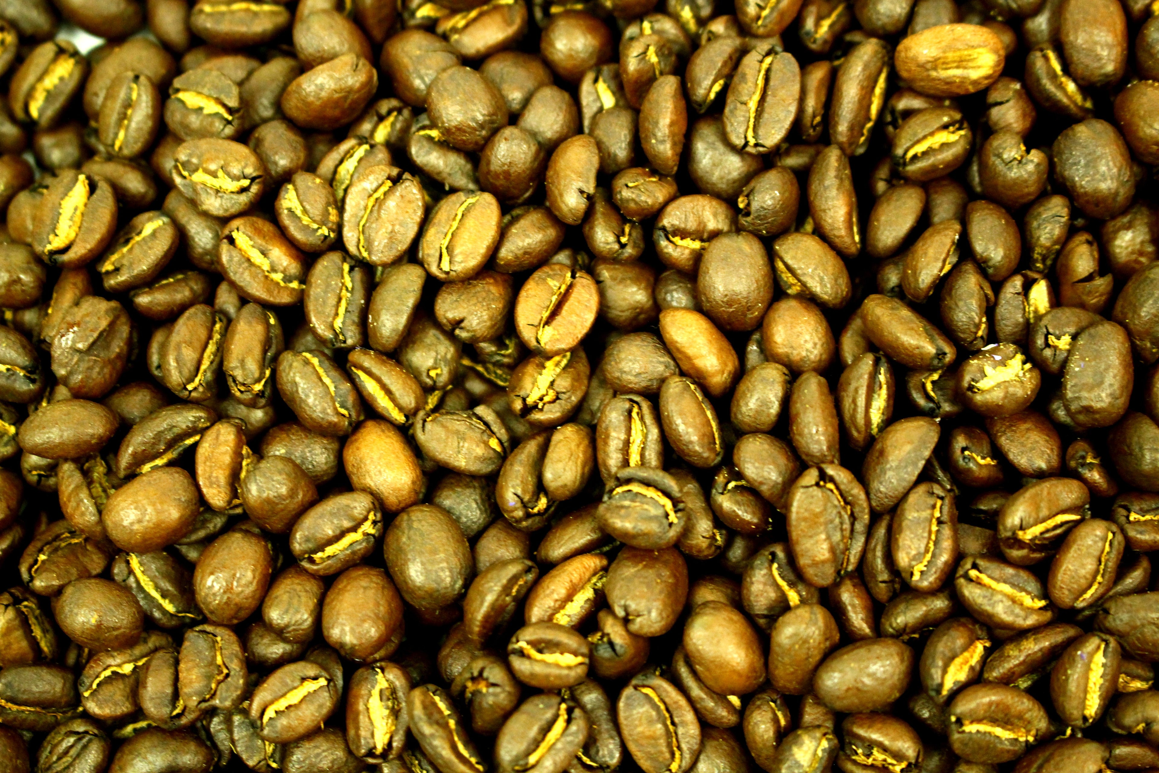 Ethiopian Washed Sidamo Oromia Guji Fair Trade Whole Bean Coffee Gently Stirred