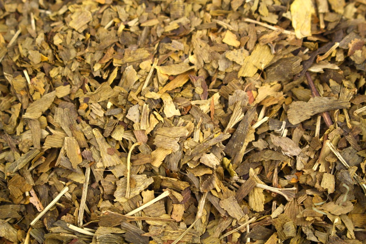 Ginkgo Biloba Maidenhair Healthy Infusion Raynaud's Parkinson's Gently Stirred
