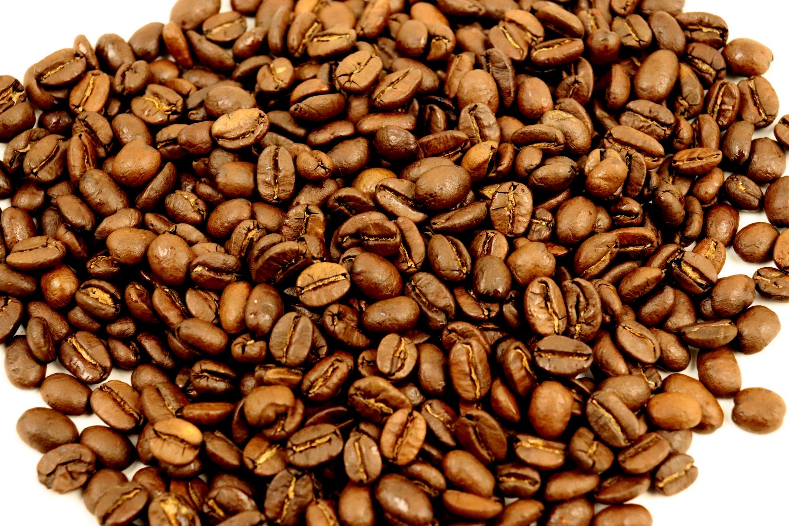 Guatemala Finca Nueva Granada Estate Monte Flor Rainforest Alliance Medium Roast Coffee Beans