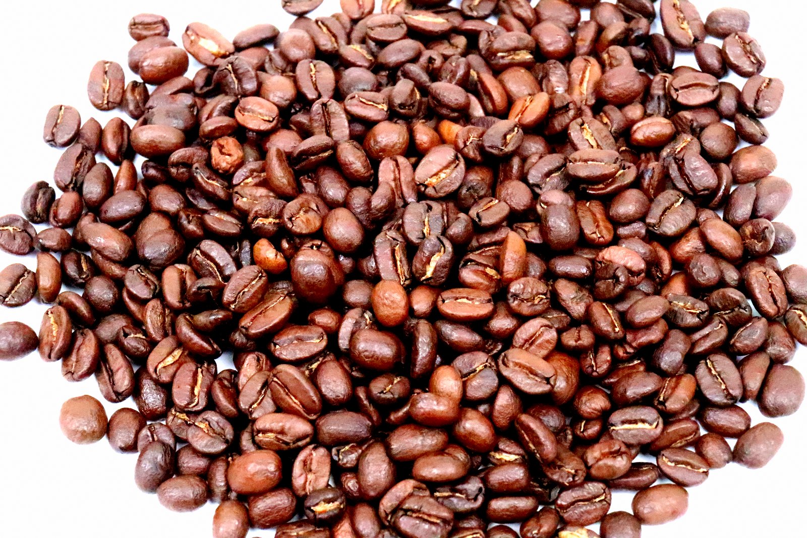 Honduras Gloria Maribel Orellana Fair Trade Whole Coffee Bean Speciality