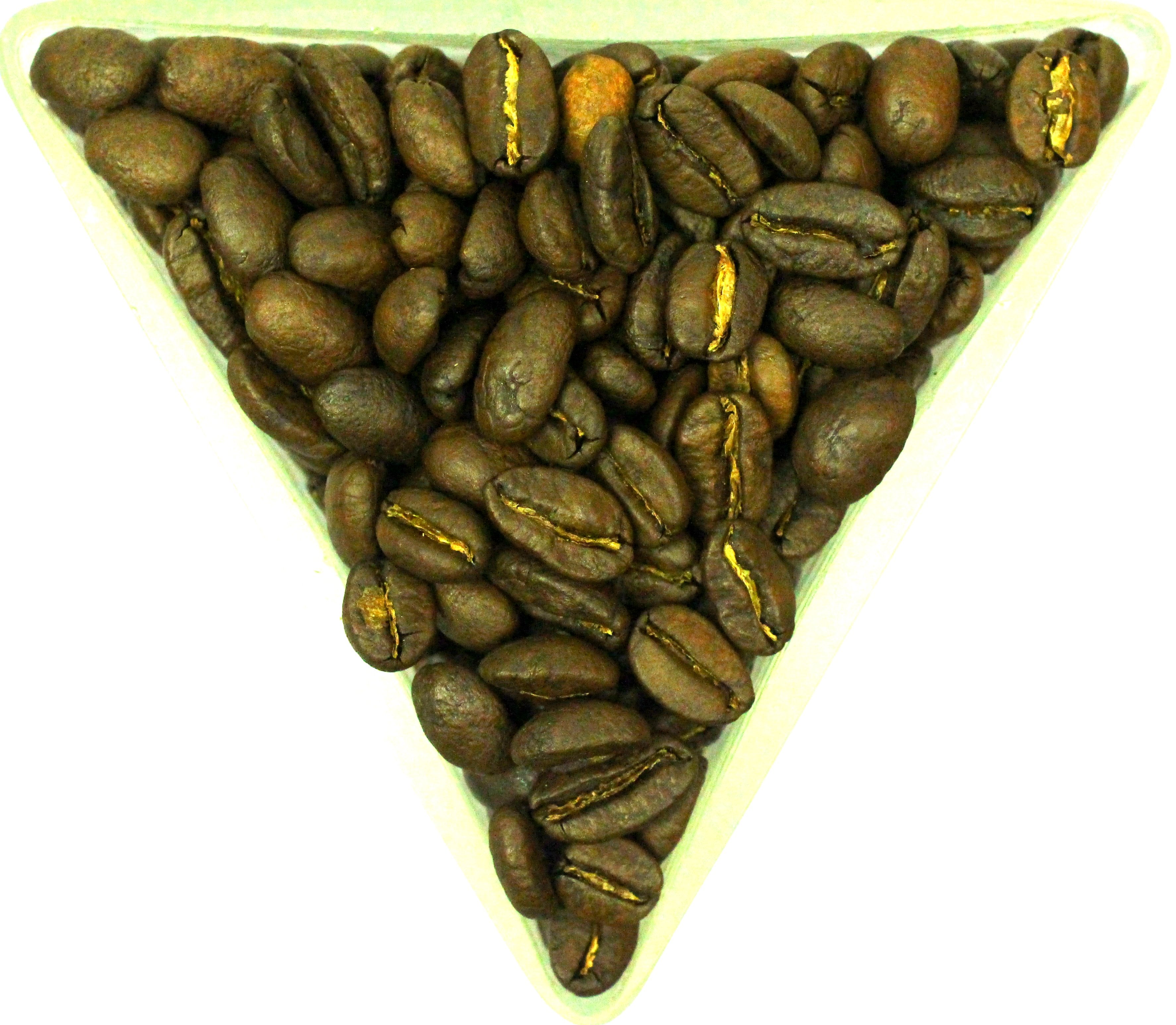 Honduras SHG Finca El Calibri Organic Fair Trade Rainforest Alliance Whole Bean Gently Stirred