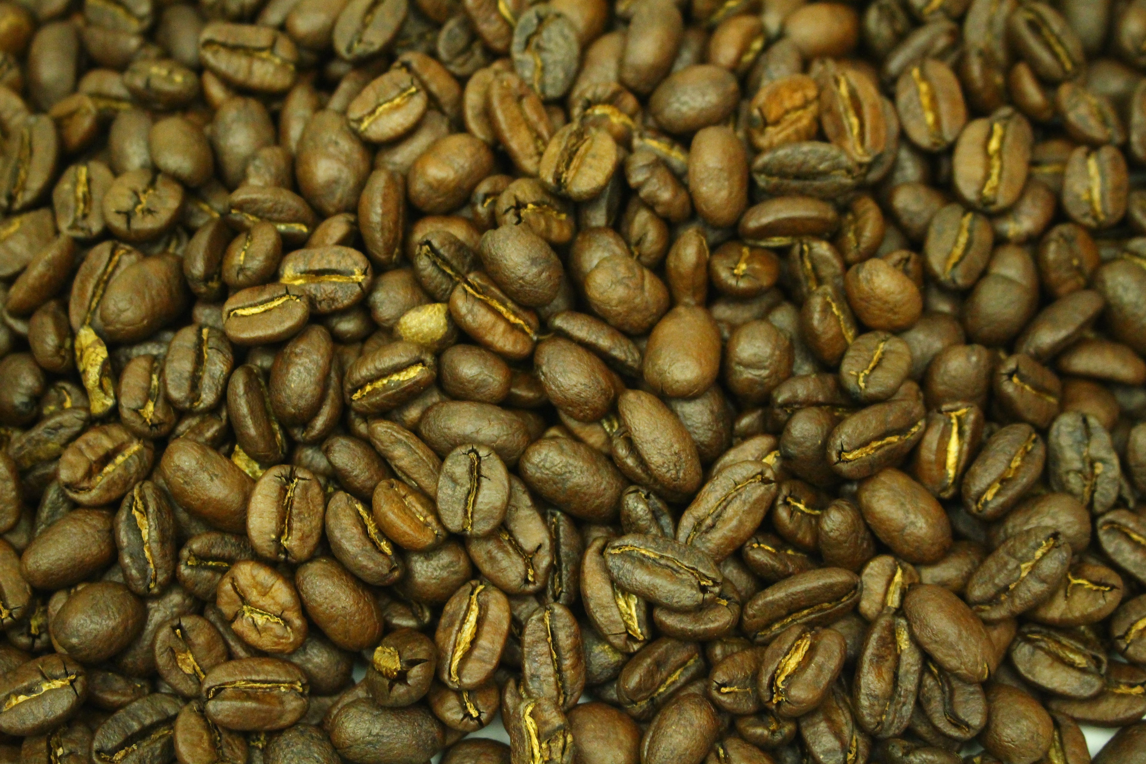 Honduras SHG Finca El Calibri Organic Fair Trade Rainforest Alliance Whole Bean Gently Stirred