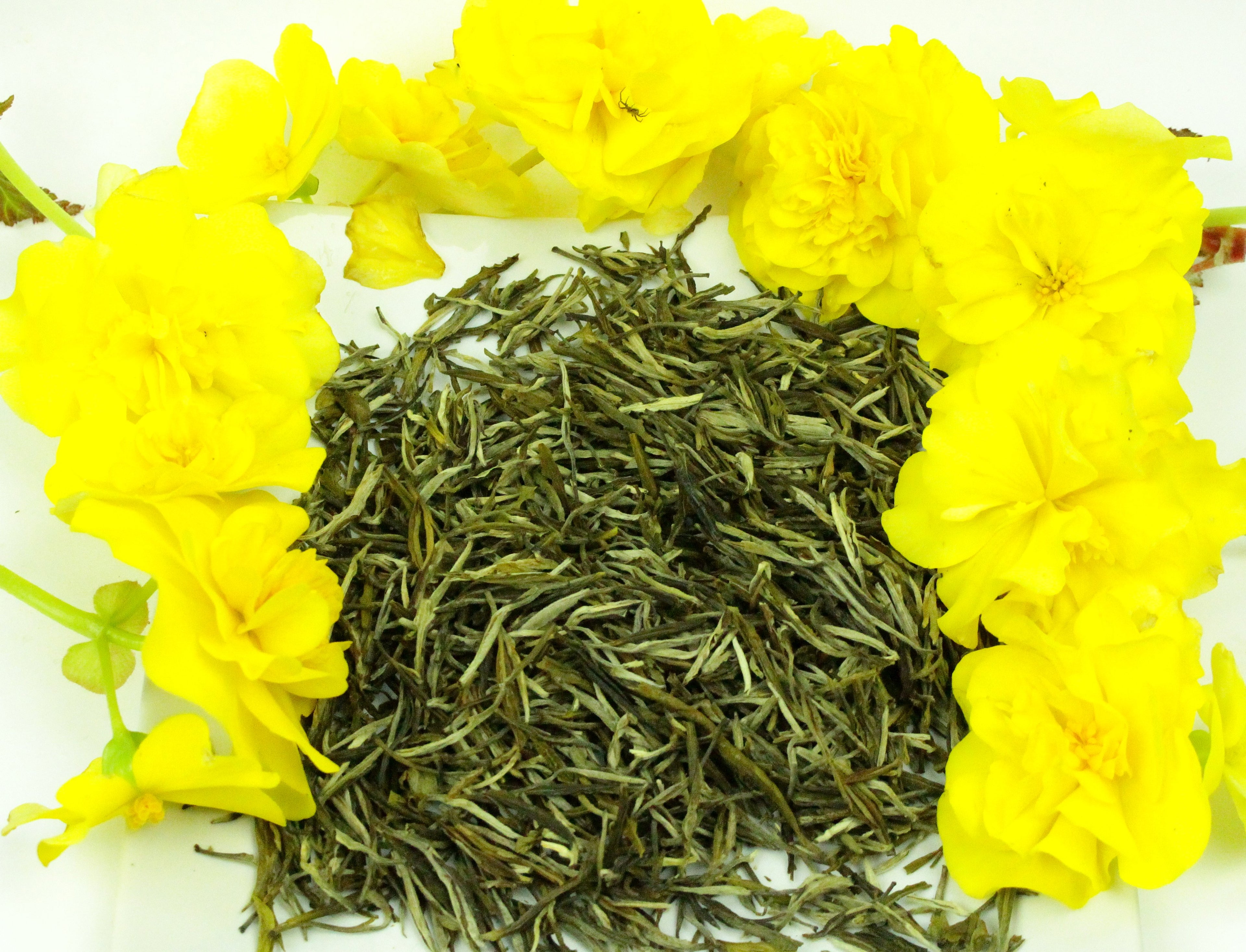 Huang Ya Yellow Tips Yellow Tea Loose Leaf Imperial Tribute Gently Stirred