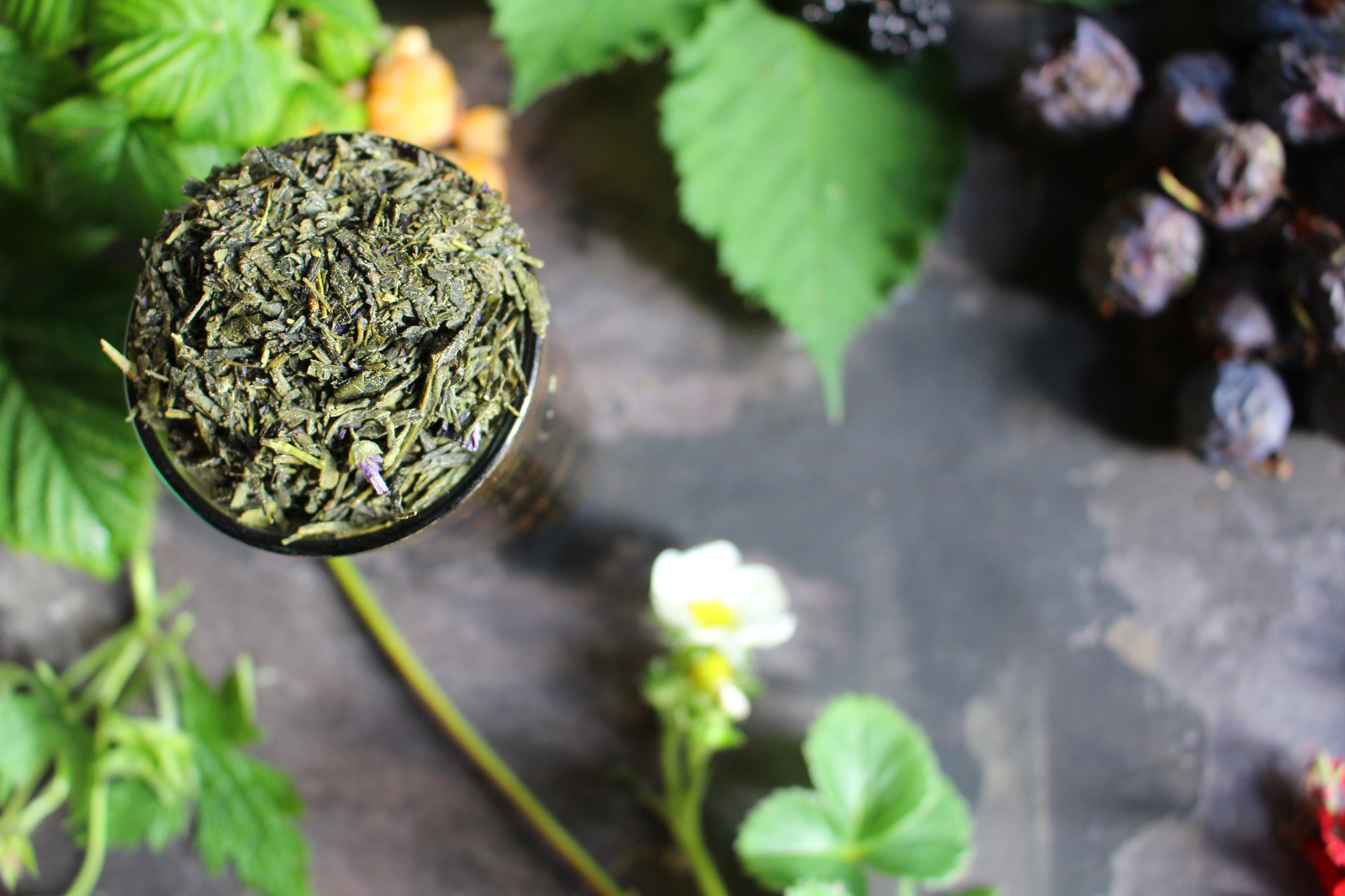 Kombucha Sencha Green Tea Gently Stirred