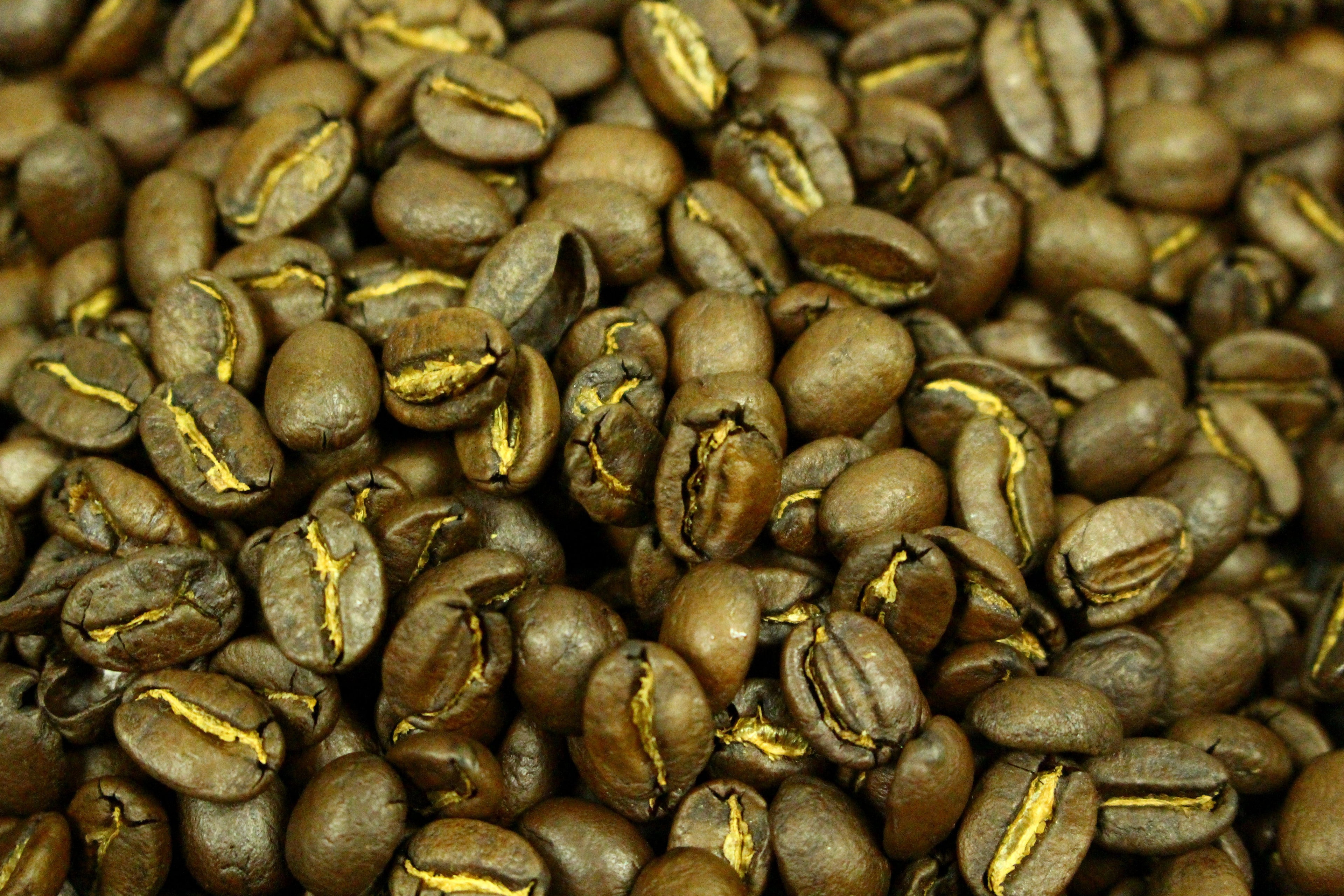Indian Kerala Plantation A Fair Trade Organic Whole Coffee Beans Gently Stirred