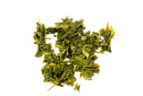 Japanese Sencha Yamato Great Harmony Loose Leaf Healthy Green Tea Well Rounded