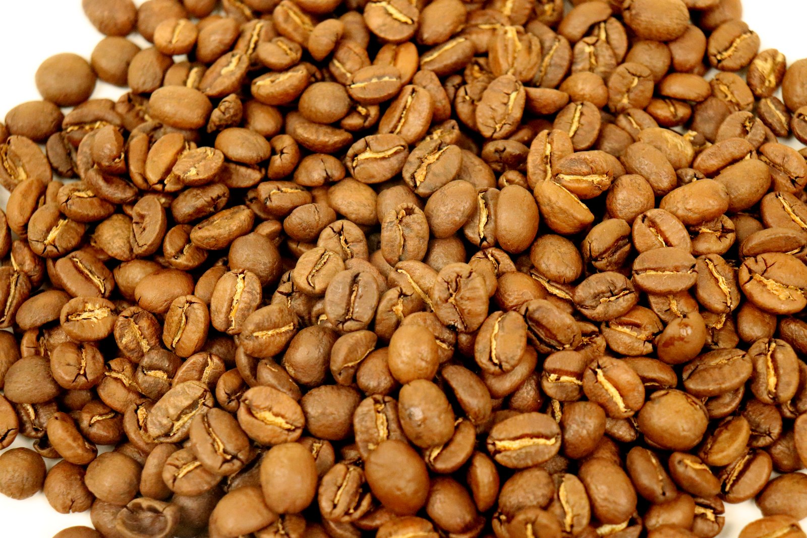 Kenya Acacias AA Grade Coffee Beans Dark Roasted Superb Flavour High Quality
