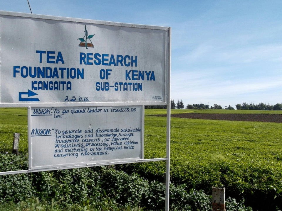 Kenya Milima Golden Flowery Broken Orange Pekoe Loose Leaf Black Tea Orthodox Leaf