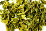 Kombucha Sencha Green Tea Gently Stirred