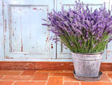 Lavender Flower Tea Herbal Infusion Gently Stirred