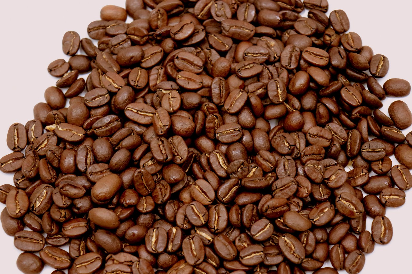 Nicaragua Flores del Cafe Women's Fund Project Coffee Sweet Spicy and Wonderful